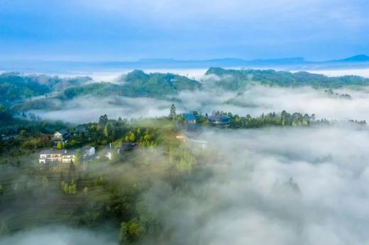 【亲子避暑网红茶海秘境·青杠坪茶客空间】￥118起抢吃住玩套餐，坐拥茶山美景，玩水清凉一夏，池畔音乐季热烈开趴，遛娃速囤 商品图0