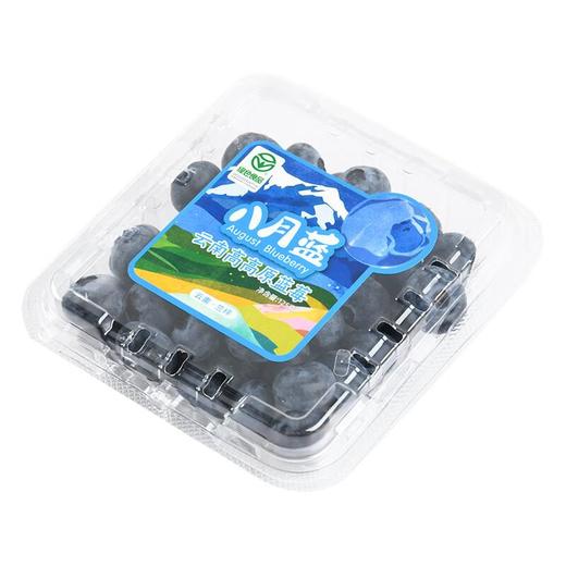 云南高高原蓝莓125g14mm 商品图1