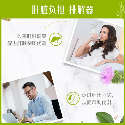 Swisse护 肝 片 斯维诗奶 蓟 草片姜黄素 草本养 肝护 肝 进口 【高浓度】护肝片60片 商品图1