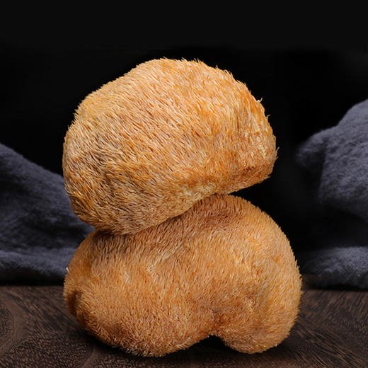 【绿帝猴头菇80g】个头均匀饱满 口感鲜美 商品图3