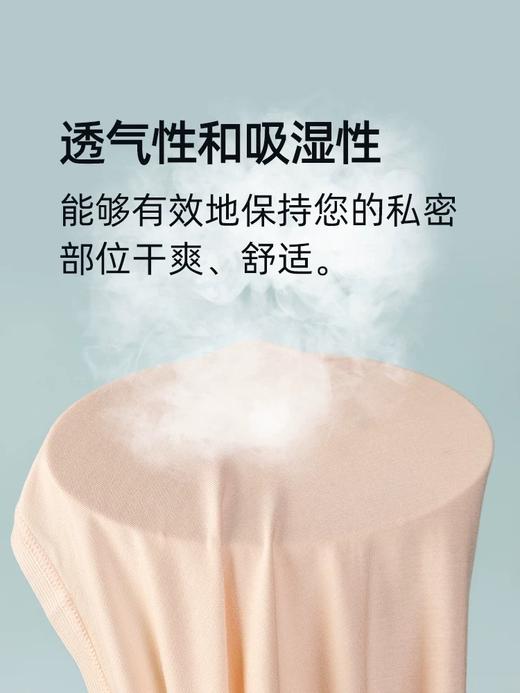 【莫代尔蚕丝底裆高腰】SCHIESSER德国舒雅女士莫代尔面料 蚕丝里裆 高腰小裤(1条装)20/20760T 商品图3