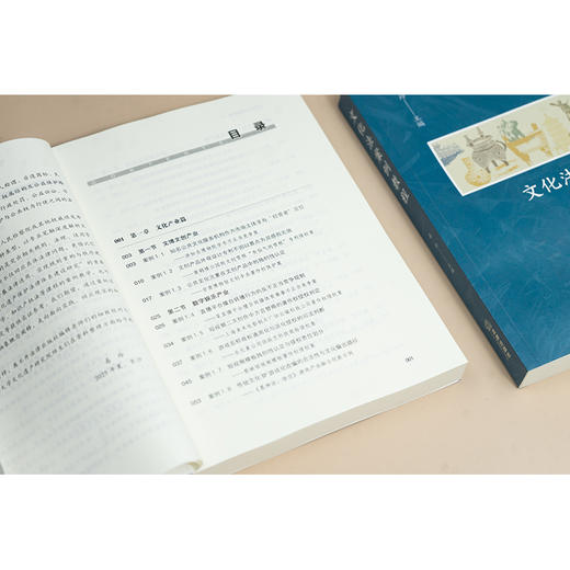 文化法案例教程 易玲主编 法律出版社 商品图5