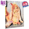 【中商原版】猫蛋蛋摄影集2 日文原版 にゃんたまw 芳澤ルミ子 商品缩略图1