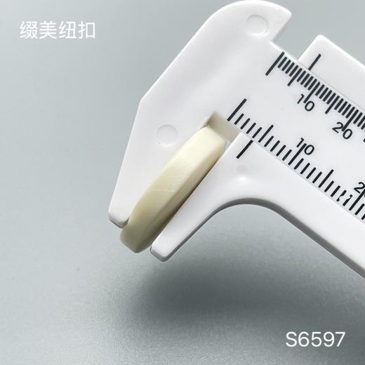 S6597(整包购买) 商品图4