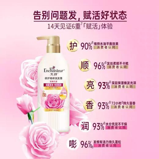 艾诗洗发露系列 500g/瓶 商品图1