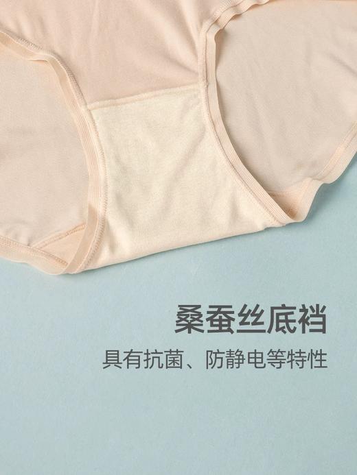 【莫代尔蚕丝底裆高腰】SCHIESSER德国舒雅女士莫代尔面料 蚕丝里裆 高腰小裤(1条装)20/20760T 商品图4