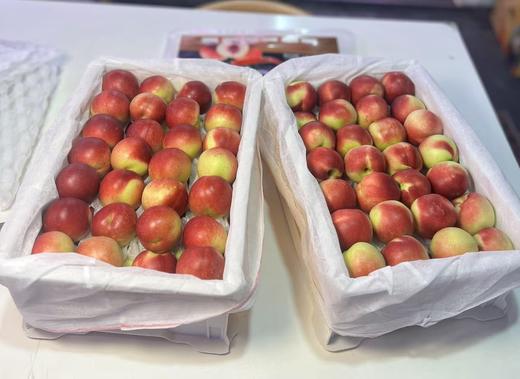 新疆珍珠枣蜜桃 油桃 商品图8