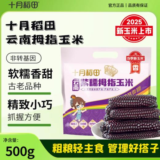 【西双版纳直采】【当季新玉米】拇指玉米/紫糯拇指玉米500g 商品图1