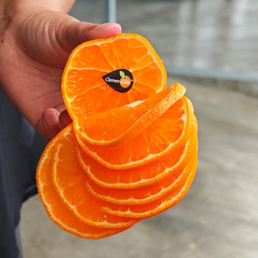 澳洲无核软皮蜜柑 商品图3