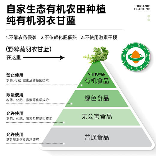 有机羽衣甘蓝 | VITMOVER野粹蔬有机羽衣甘蓝无添加膳食纤维破壁蔬菜粉 商品图2