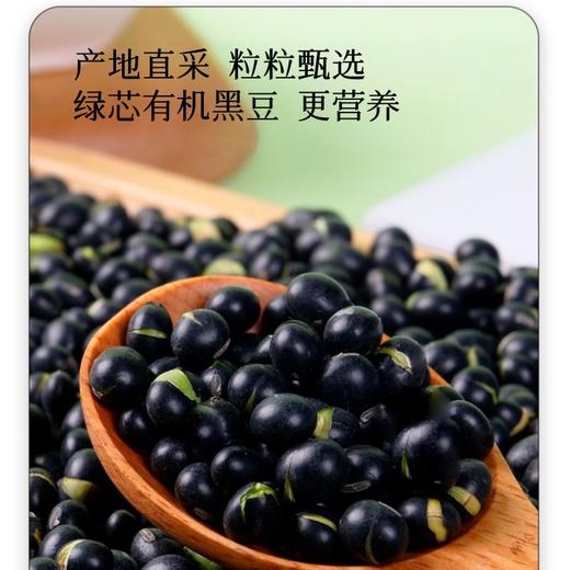 【当归黄芪陈皮黑豆】200g有机黑豆岷县当归黄芪开罐即食健康美味居家小零食 商品图2