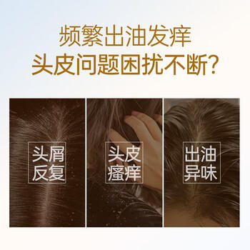 霸王生姜洗发水姜汁首乌去屑止痒洗发露洗头膏清新舒爽1L /个人护理 /洗发护发 /洗发水 商品图0