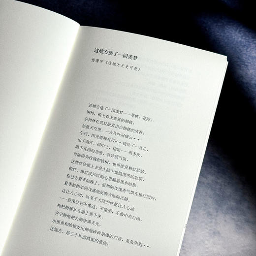 三线山水集 范雪 新世纪中国城市乡村山水诗集 商品图6