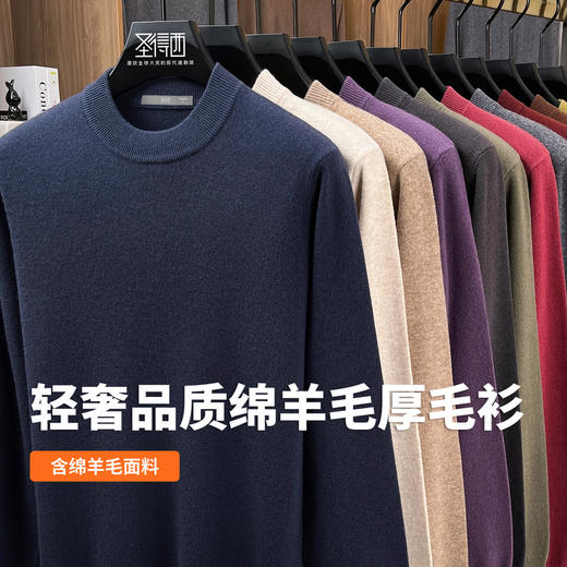 【含绵羊毛】圣得西男羊毛针织衫2025秋新款舒适商务轻奢百搭毛衣 商品图3