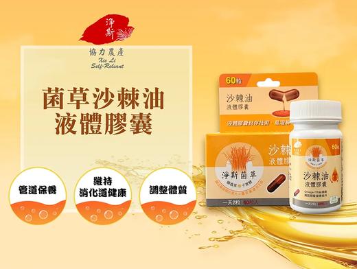 【静思书轩】净斯菌草沙棘油液体胶囊（60粒） 台湾直邮，满300包邮，不包税以实际为准 商品图2