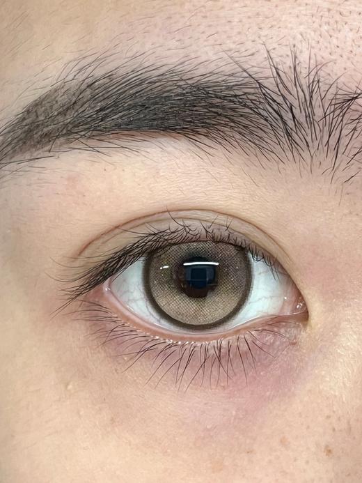 allecon半年抛 小熊软糖棕/小熊软糖灰 14.5mm 美瞳两片装 商品图5