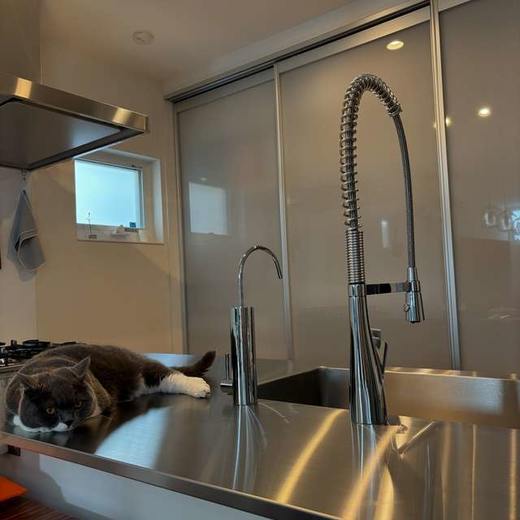 日本三荣SANEI高抛鹅颈型中岛混合水抽拉厨房龙头 K8731JV-13 商品图4