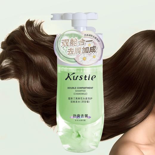 蔻斯汀双舱洗发水（洋甘菊）250g+250g 商品图3
