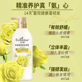 艾诗洗发露系列 500g/瓶