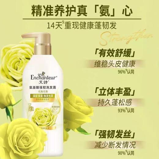 艾诗洗发露系列 500g/瓶 商品图0