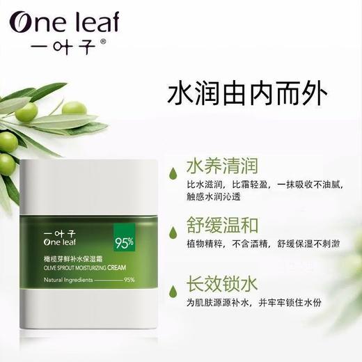 一叶子橄榄芽鲜补水保湿霜50g  54518 商品图3