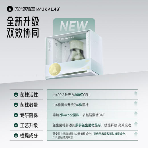 【BAT能耗引擎】呜咔实验室二元一菌益生菌益生元BAT激活剂乳酸菌菌粉 商品图8