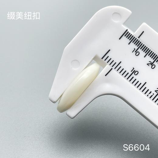 S6604(整包购买) 商品图5