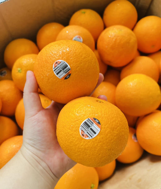 澳橙🍊 口感精选！橙味浓郁，微酸，果肉细腻无渣。补充维C，好吃还好喝🍹 商品图5