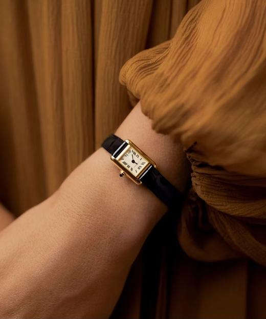 新款卡地亚坦克迷你小号24*16（ZT*SH） 商品图4