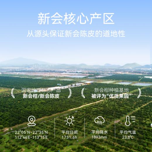 正宗新会陈皮有机认证（2023年份） 世纪茗家醇香回甘泡茶煮水50g/罐 商品图9