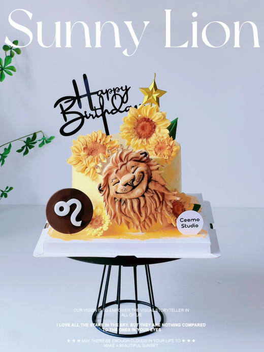 阳光小狮子 商品图0