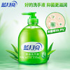 蓝月亮洗手液泡沫丰富抑菌99.9%500g+补充装500g 儿童护手家用替换装 /个人护理 /身体护理 /洗手液 商品缩略图1