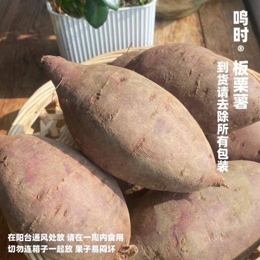 [最农公社]双12|精品红薯临安精品小香薯红薯免洗恒温糖化工厂定制清甜无丝适合水煮 商品图8
