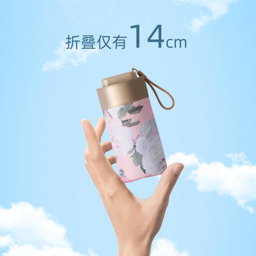 【自营】上亨雨伞钛金六折扁伞SHZH-YS05 商品图1