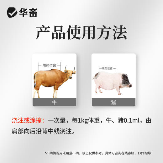 【社群专享】0.5%阿维菌素透皮溶液250ml 体内外驱虫 无应激 商品图3