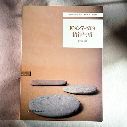 匠心学校的精神气质 王彩霞 特色学校聚焦丛书 办学理念与实践 中小学案例 商品图1