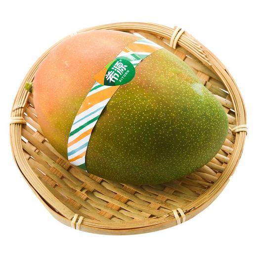 红皮凯特芒果 550g/盒 商品图2