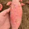 【糖心蜜薯】山东烟薯软糯香甜 商品缩略图4