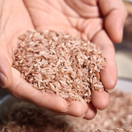【逐南味元阳梯田红米】500g*3袋 色如粉胭脂 米香纯正 糙米的营养 胚芽米的口感 商品图2