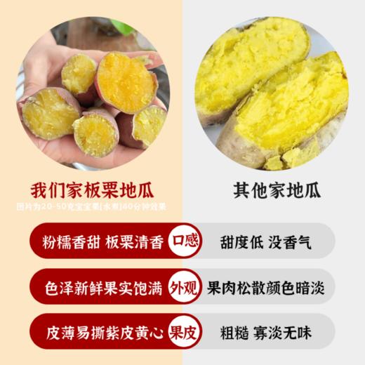 [最农公社]双12|精品红薯临安精品小香薯红薯免洗恒温糖化工厂定制清甜无丝适合水煮 商品图6