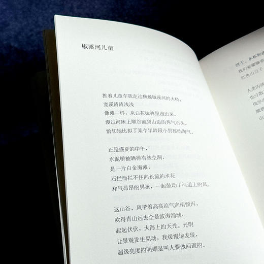 三线山水集 范雪 新世纪中国城市乡村山水诗集 商品图12