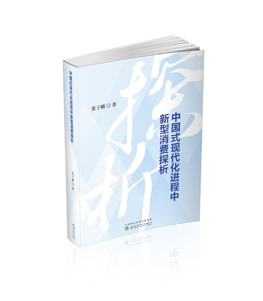中国式现代化进程中新型消费探析 商品图0