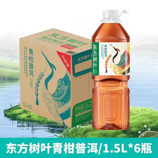【批发】东方树叶青柑普洱1.5升*6瓶 商品图0