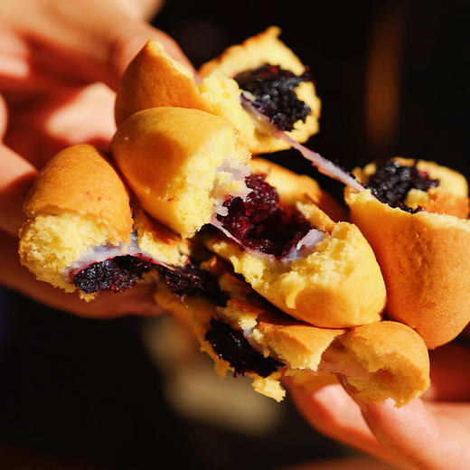 【逐南味云菓小软】软软糯糯很Q弹 一口下去就能嚼到真果肉 满满馥郁果香 商品图7