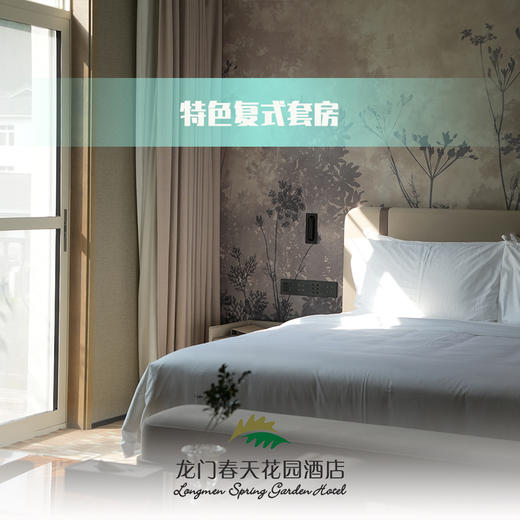 特色复式套房 商品图1