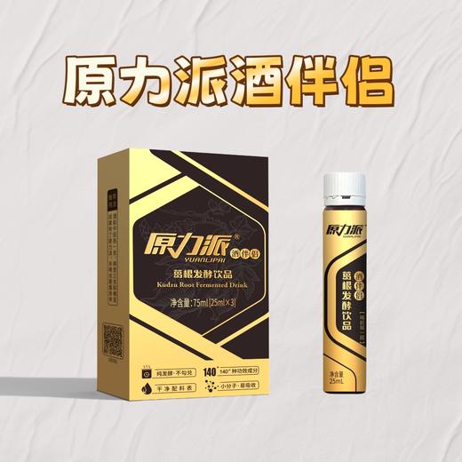 原力派 酒伴侣 葛根发酵饮品

 商品图2