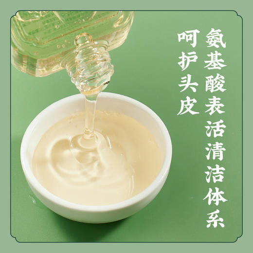 清洁头皮 盈润发丝【植物洗发护发】氨基酸表活 侧柏叶头皮洗发露 洗发水/山茶盈润护发素柔顺亮泽 商品图2