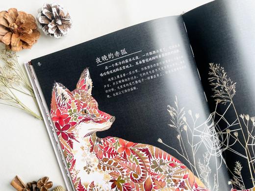 《一鲸落，万物生》（《大自然的四季歌》赠品帆布手提袋） 商品图3