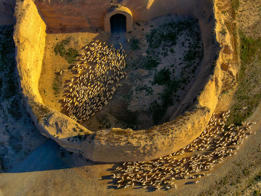 《大漠熔金·塞上幻镜》 甘·宁·蒙10天深度摄旅｜腾格里沙漠穿越·黄河石林·66号公路·乌兰湖→肺·心·肝、水墨丹霞景区 商品图10