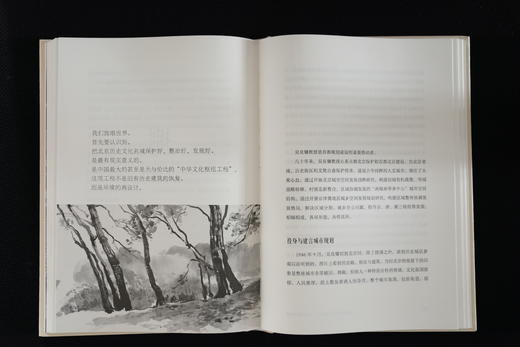 故宫前院长 单霁翔亲签版《国匠吴良镛》 商品图3